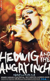 HEDWIG AND THE ANGRY INCH